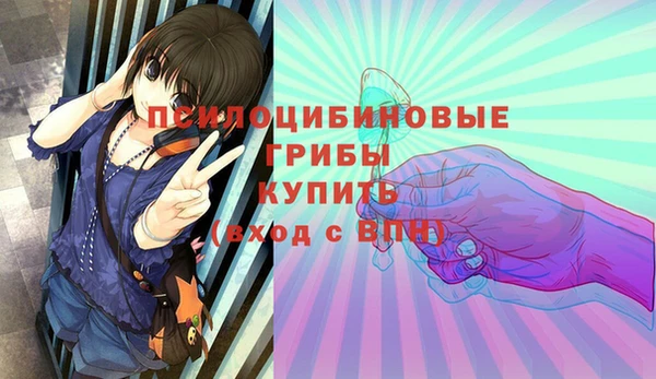 дурь Ахтубинск