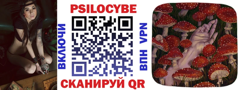 Галлюциногенные грибы мицелий купить Краснодар